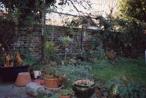 Left hand side - BEFORE development